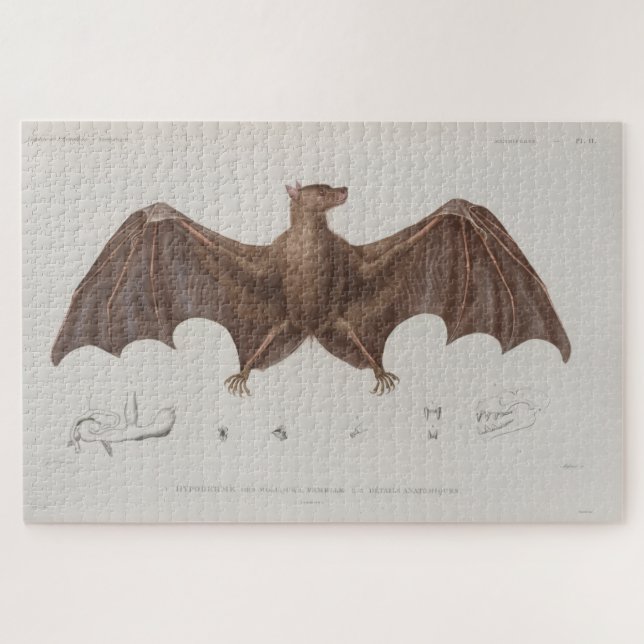 Vintage Bat-Illustration (1835) Puzzle (Horizontal)