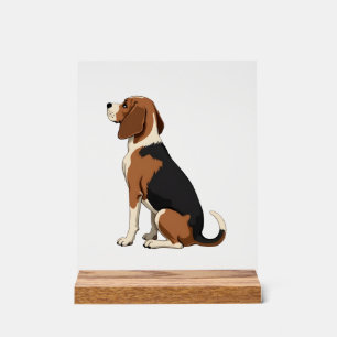 Vintage-Beagle-Hund Rückansicht Illustration Pet-L Acrylschild