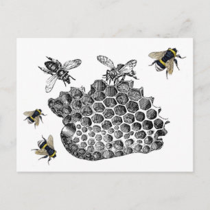 Vintage Bees Postkarte