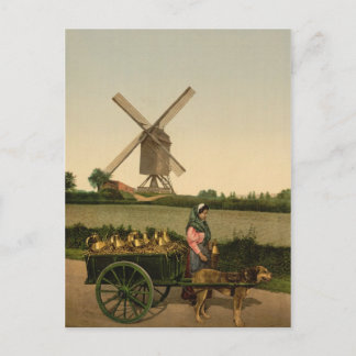 Vintage belgische Milchmädchen (Laitière Belge) Postkarte