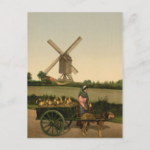 Vintage Belgische Milchmagd (Laitière Belge) Postkarte