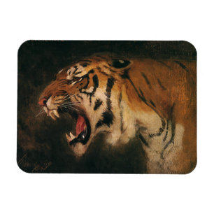 Vintage Bengal Tiger Großkatze Brüllend, Wildtier Magnet
