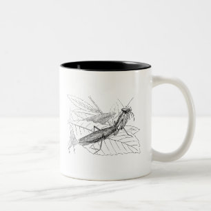Vintage betender Mantis-Insekten-Schablone Zweifarbige Tasse