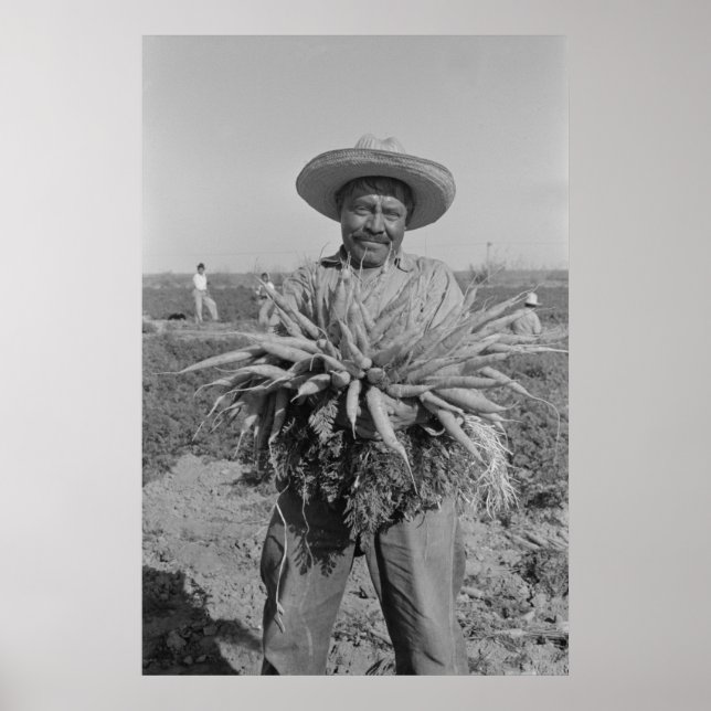 Vintage Betriebssicherheitsprüfung Poster (Vorne)