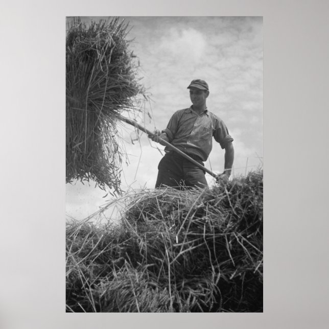 Vintage Betriebssicherheitsprüfung Poster (Vorne)