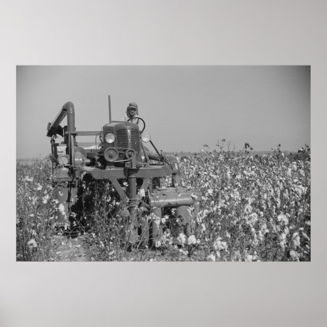 Vintage Betriebssicherheitsprüfung Poster (Vorne)