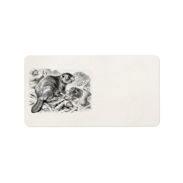 Vintage Biber-Illustration Retro-Biber und Damm Adressaufkleber (Vorne)