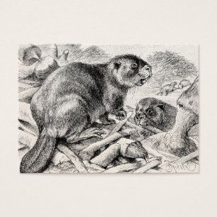 Vintage Biber-Illustrations-Retro Biber und