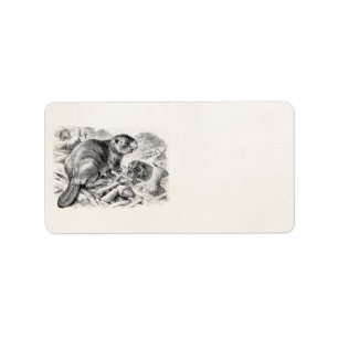 Vintage Biber-Illustrations-Retro Biber und Adressaufkleber