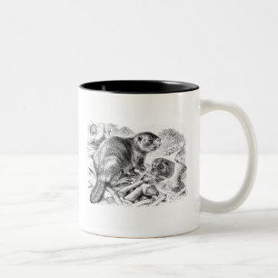 Vintage Biber-Illustrations-Retro Biber und Zweifarbige Tasse