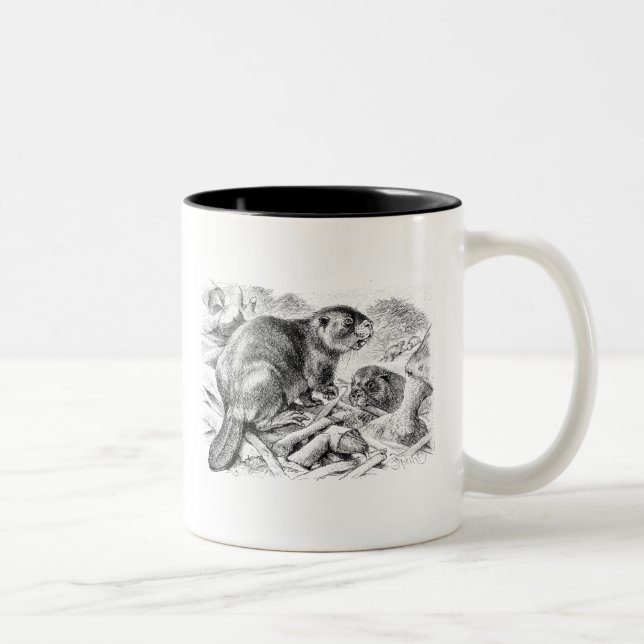 Vintage Biber-Illustrations-Retro Biber und Zweifarbige Tasse (Rechts)