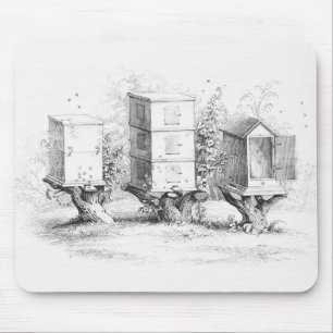 Vintage Biene packt Honig ein Mousepad