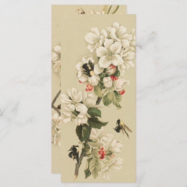 Vintage Bienen (Vorne/Hinten)