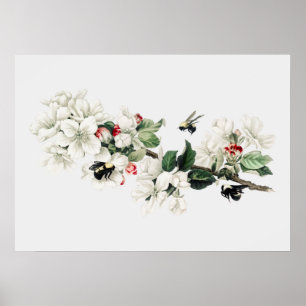 Vintage-Bienen-Illustration Poster