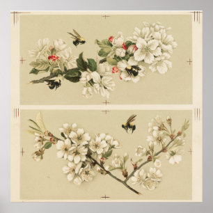 Vintage-Bienen-Illustration Poster