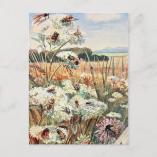 Vintage Bienen-Illustration Postkarte