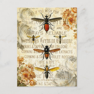 Vintage Bienen Insekten Postkarte