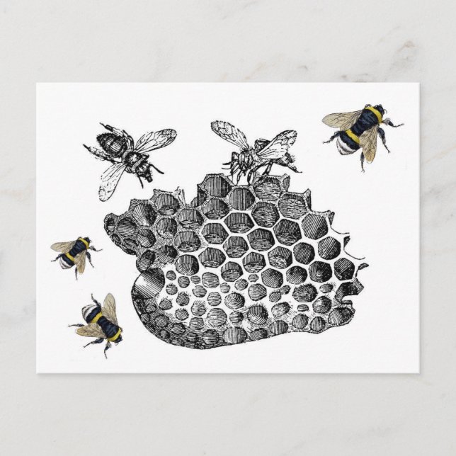 Vintage Bienen Postkarte (Vorderseite)