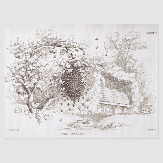 Vintage Bienen Seidenpapier (Vorderseite)