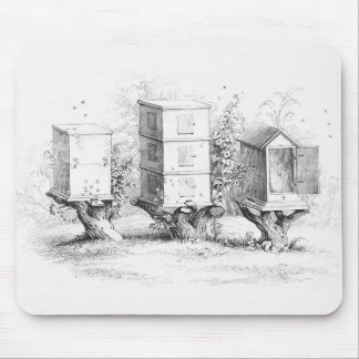 Vintage Bienenboxen Honig Mousepad