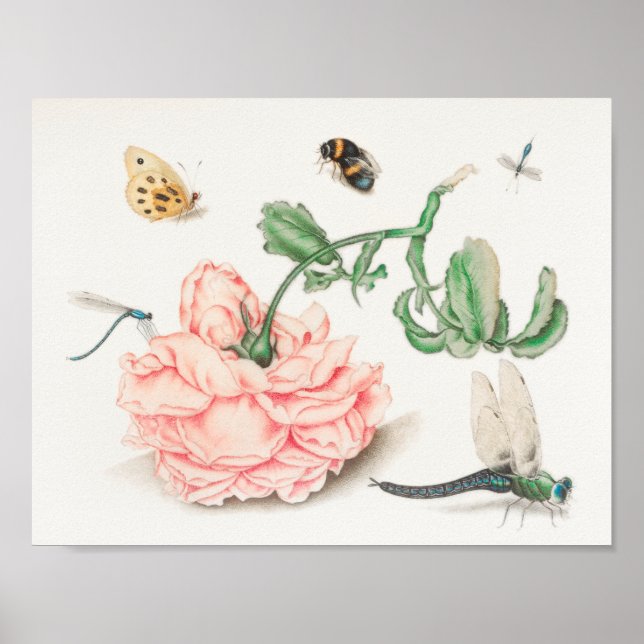 Vintage Bienendarstellung Poster (Vorne)