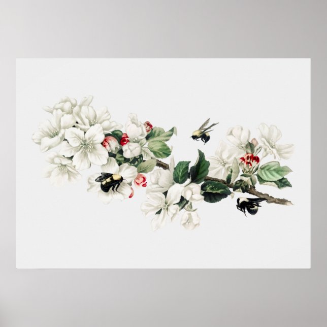 Vintage Bienendarstellung Poster (Vorne)