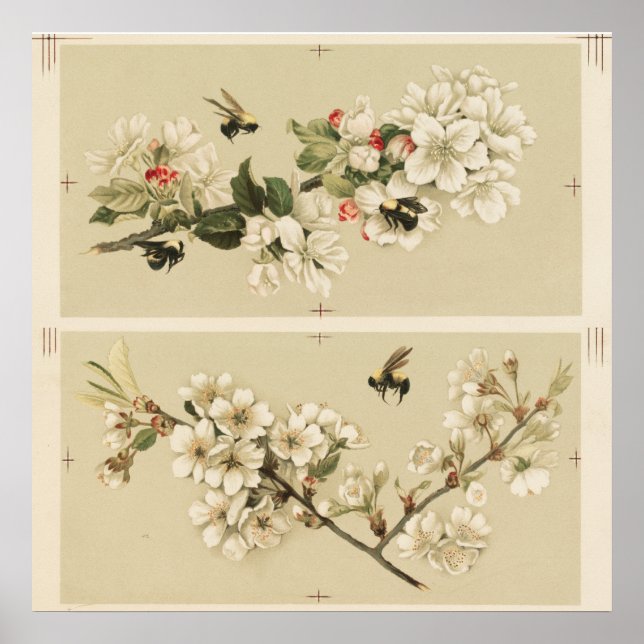 Vintage Bienendarstellung Poster (Vorne)