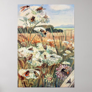 Vintage BienenIllustration Poster