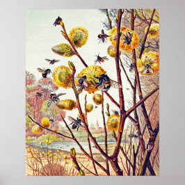 Vintage Bieneninsekten Frühlingsinsekten Willow Bl Poster