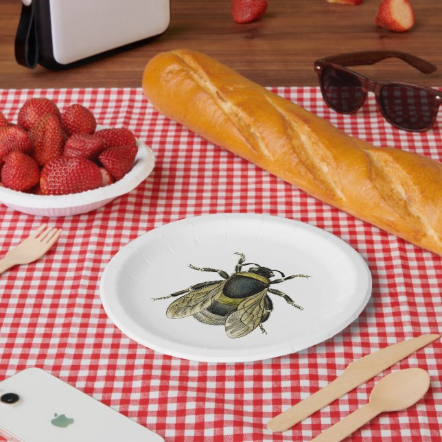 Vintage Bienenschwarz und Gelb Antike Illustration Pappteller (Picknick)