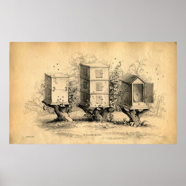 Vintage Bienenzucht Bienenstock Poster (Vorne)