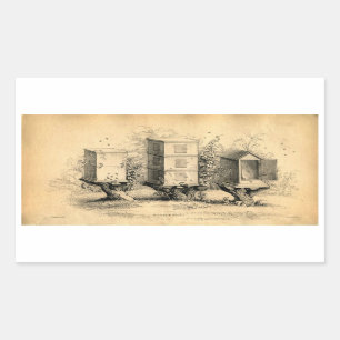 Vintage Bienenzucht Rechteckiger Aufkleber