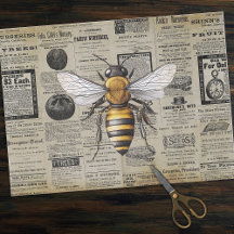 Vintage Bienenzucht