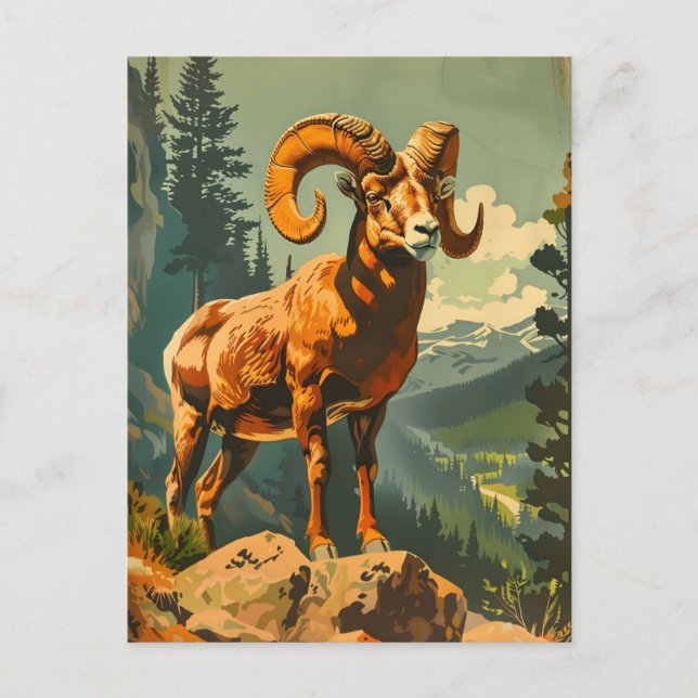 Vintage Bighorn Sheep Illustration Postkarte (Vorderseite)
