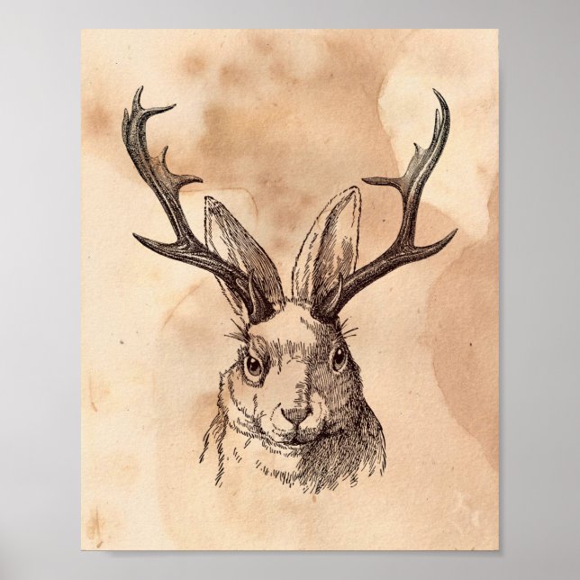 Vintage Bild Jackalope Rabbit Tee Gestaltete Papie Poster (Vorne)