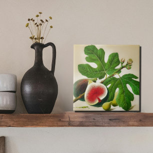 Vintage Bilddarstellung Fliese