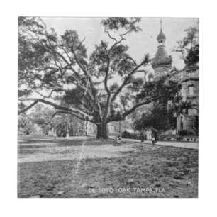 Vintage Bilder von Tampa Florida Fliese