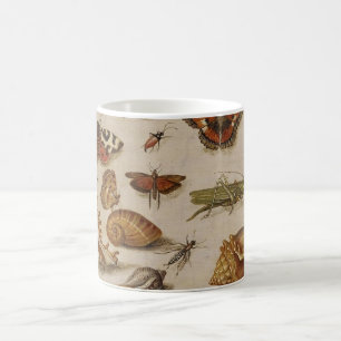 Vintage Biologie-Illustrations-Tasse Kaffeetasse
