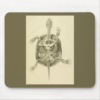 Vintage biologische Schildkröte-Anatomie Mousepad