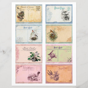 Vintage Bird Postcard ATC Cards Scrapbook Paper