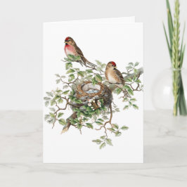 Vintage Birds, German Birthday Card Karte