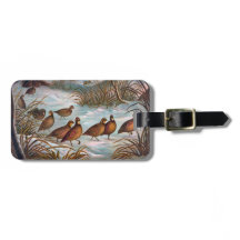 Vintage Birds in the Snow