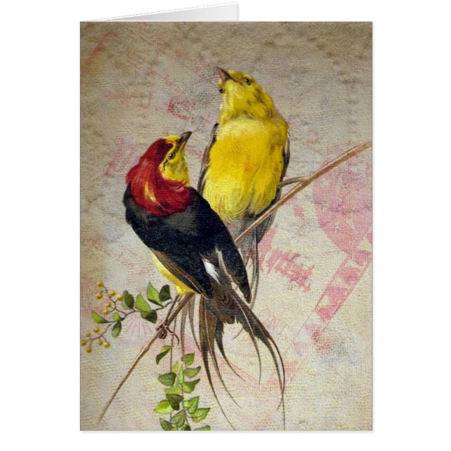 Vintage Birds Lace Texture Jedes Anlasses (Vorne)