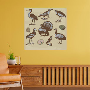 Vintage Birds-Poster Poster