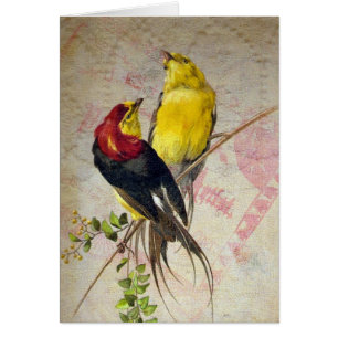 Vintage Birds Spitze Textur für alle Anlässe