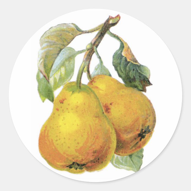 Vintage Birnen Runder Aufkleber (Vorderseite)