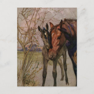 Vintage Black Beauty Pferd "Meine Mutter und ich" Postkarte