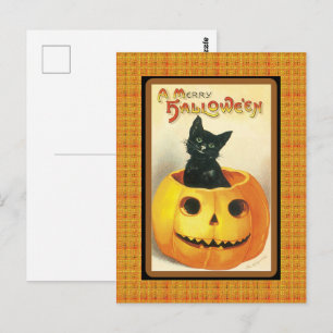 Vintage Black Cat Pumpkin Halloween Postcard Postkarte