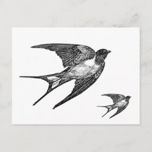 Vintage Black Swallow Design Postkarte
