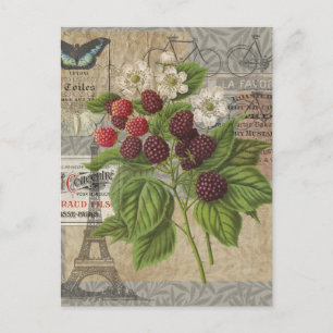 Vintage BlackBerry und Französisch Ephemera Art Co Postkarte